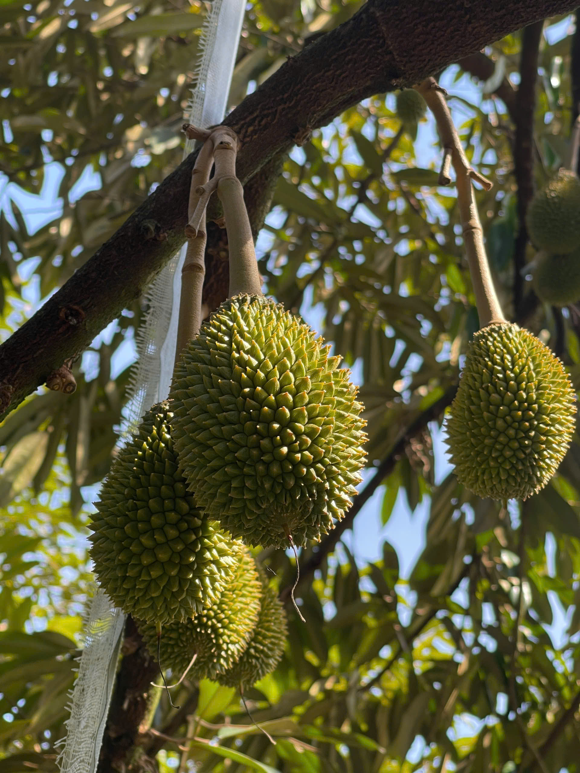 Hinh ảnh slide home 7