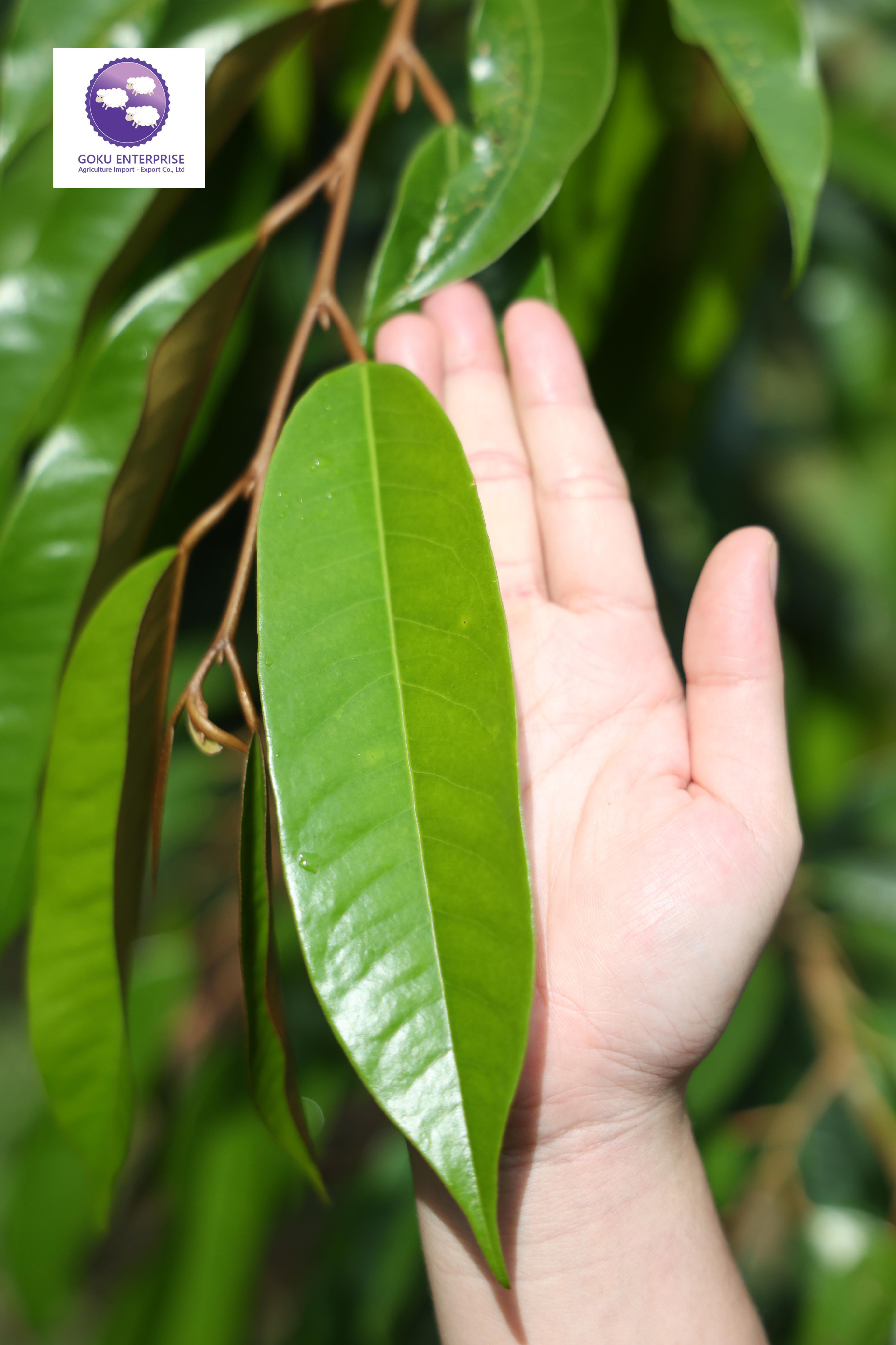 Hinh ảnh slide home 7