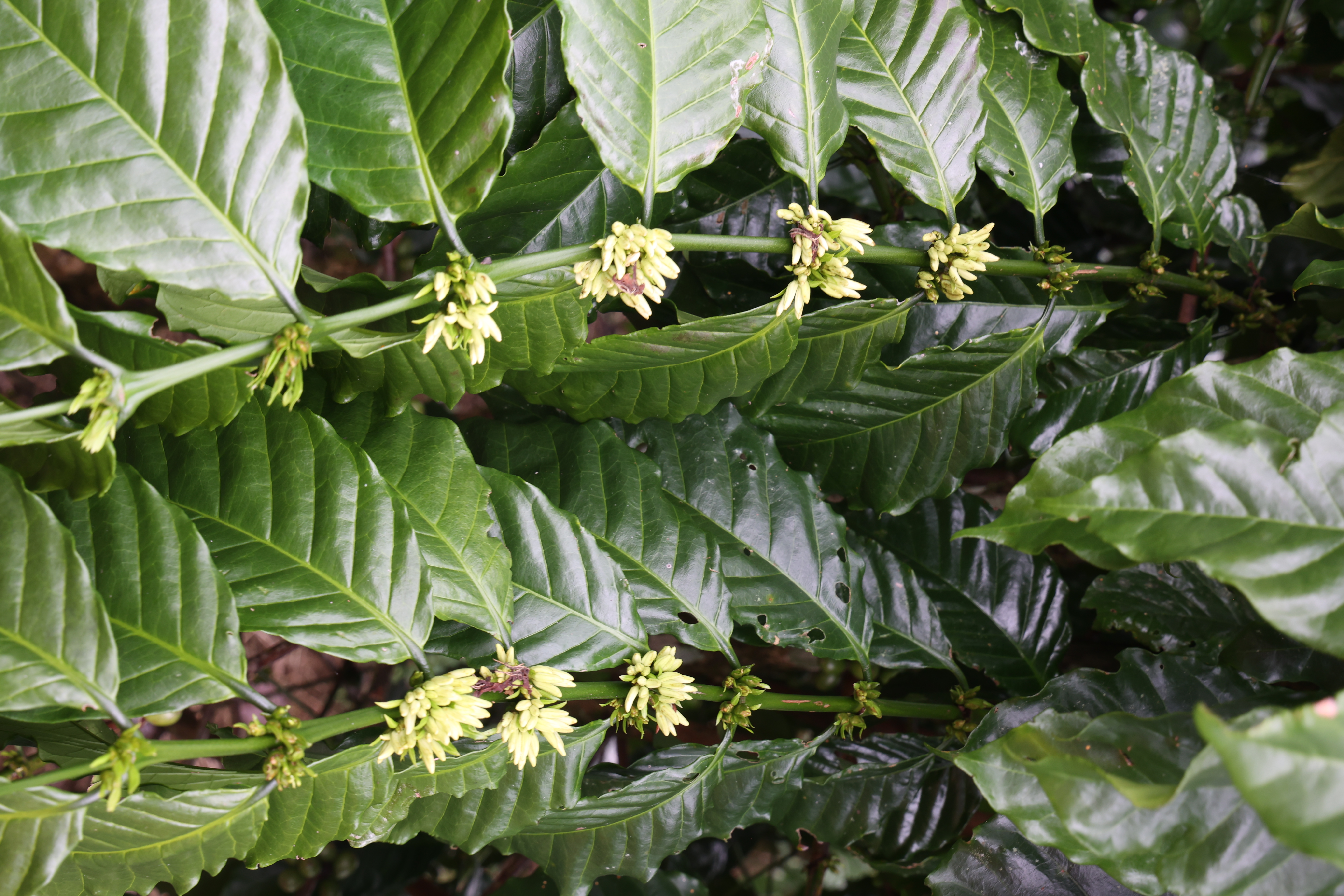 Hinh ảnh slide home 7